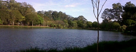 Parque Ibirapuera is one of Top 10 favorites places in São Paulo, Brasil.