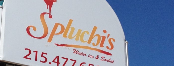 Spluchi's Water Ice & Sorbet is one of The 15 Best Places for Soft Pretzels in Philadelphia.