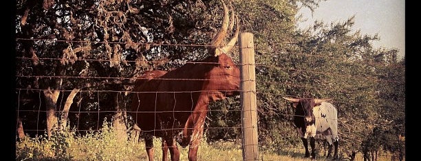 Wild Onion Ranch is one of JRA : понравившиеся места.