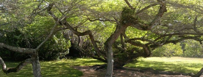 Fairchild Tropical Botanic Garden is one of Daytime Weekend Activities.