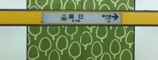 다쓰미역 (Y23) is one of 東京メトロ 有楽町線.