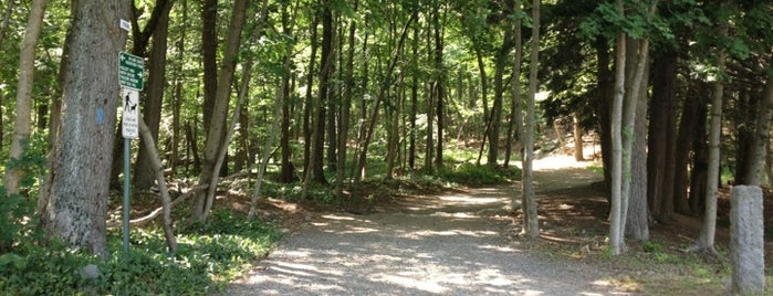 Blue Hills Reservation is one of Greater Boston Outdoors.