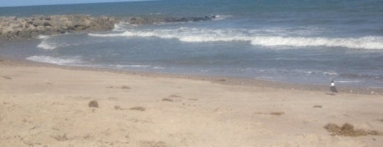 Edisto Beach is one of Mitchさんのお気に入りスポット.