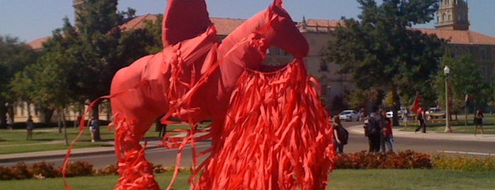 TTU - Will Rogers Statue is one of Game Day!.