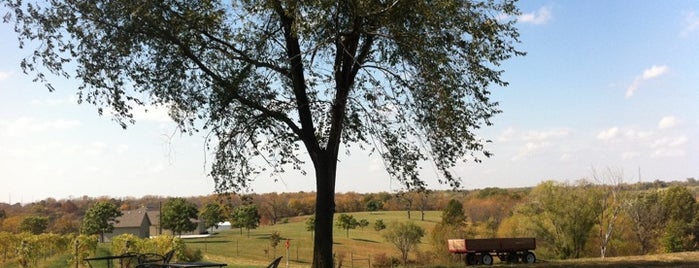 Ladoga Ridge Winery is one of Winery.