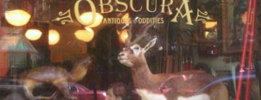 Obscura Antiques and Oddities is one of Strange Places and Oddities in NYC.