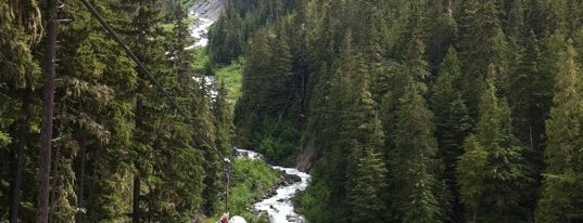 Ziptrek Ecotours Whistler is one of Beautiful British Columbia.