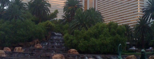 The Mirage Hotel & Casino is one of Favorite places to lose money.