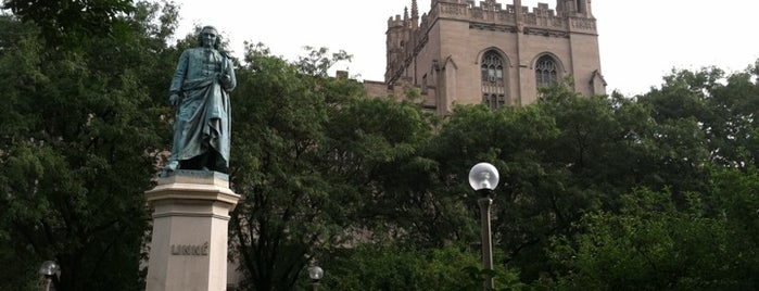 The University of Chicago is one of Leadership Institute: Chicago.