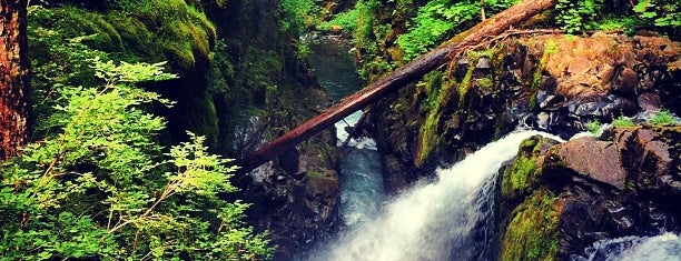 Sol Duc Falls is one of Washington To-Do.