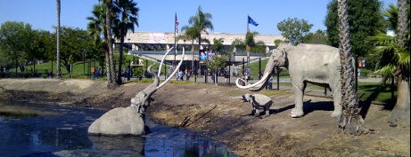 La Brea Tar Pits & Museum is one of I  2 TRAVEL!! The PACIFIC COAST✈.