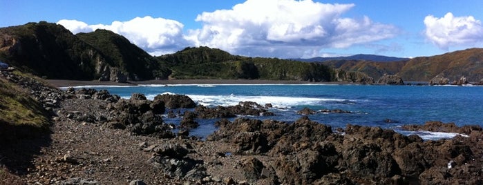 Breaker Bay is one of The coolest little capital in the world.