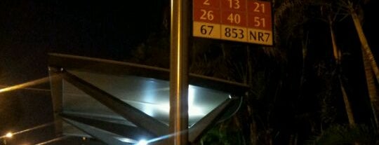 Bus Stop 81031 (Blk 134) is one of the place i will always go..