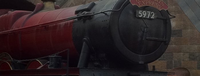 Hogwarts Express is one of Disney World/Islands of Adventure.