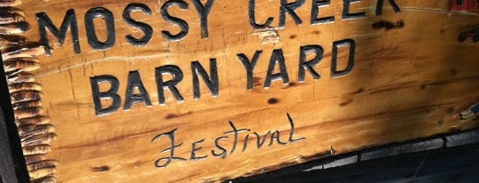 Mossy Creek Barnyard Festival is one of go visit | Warner Robins.
