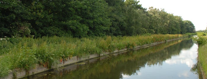 New River Path (Wightman Road) is one of Green Spaces in Harringay.
