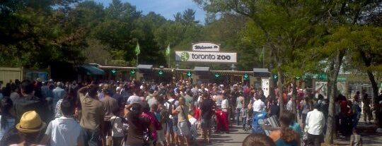 Toronto Zoo is one of Top 10 Toronto Tourist attractions.