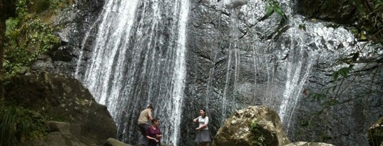 El Yunque National Forest is one of Puerto Rico ☀.