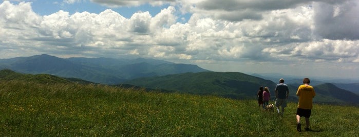Max Patch is one of Maggie Valley.
