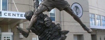The Spirit by by Omri & Julie Rotblatt-Amrany (Michael Jordan Statue) is one of Chicago.