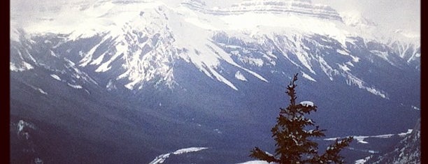 Sulphur Mountain Summit is one of David 님이 좋아한 장소.