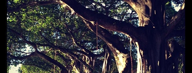 Howard Park is one of West Palm.