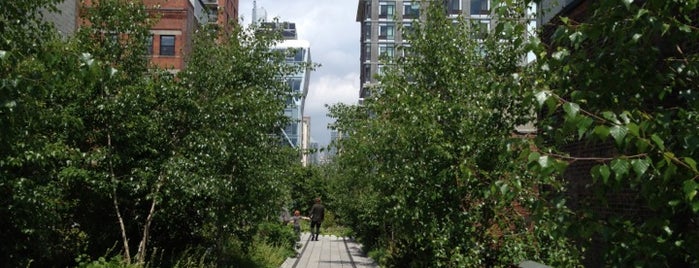 High Line is one of New York City.