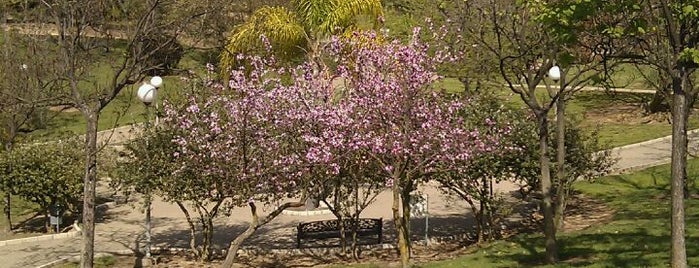 Parque botánico José Celestino Mutis is one of Onuba / Huelva York.