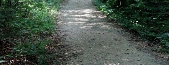 Blacklick Woods Metro Park is one of Lugares guardados de Dave.