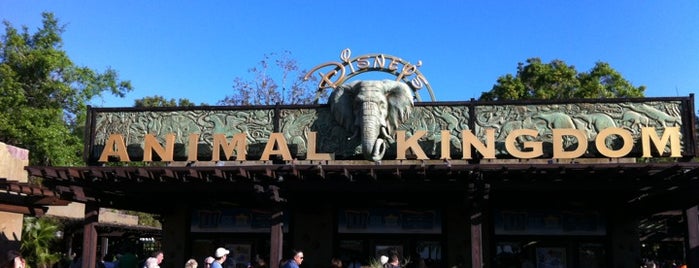 Disney's Animal Kingdom is one of Dicas de Orlando..