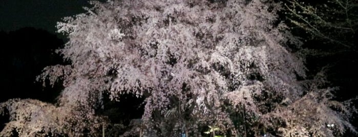Rikugien Gardens is one of Orte, die Masahiro gefallen.