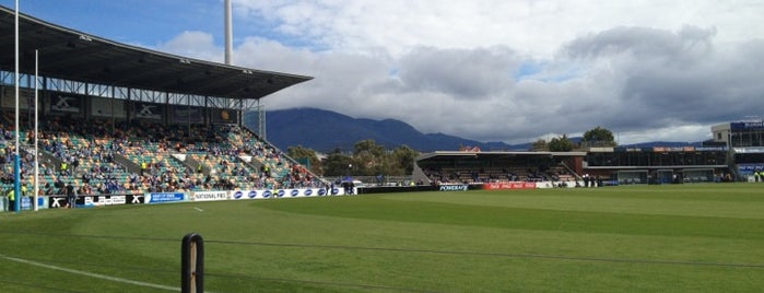Blundstone Arena is one of Cricket.
