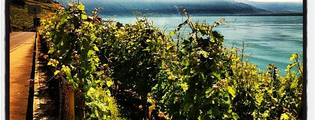 Lavaux Vignoble en Terrasses | Lavaux Vineyard Terraces is one of UNESCO World Heritage Sites of Europe (Part 1).