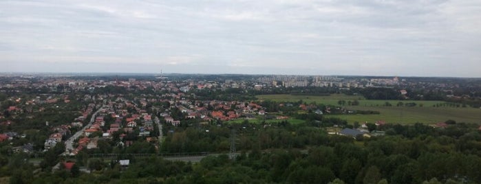 Góra Św. Marcina is one of Tarnów Top Places.