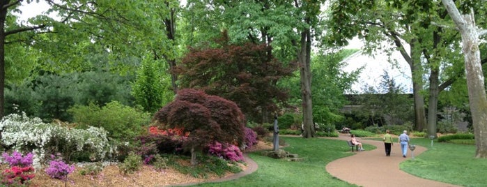 Missouri Botanical Garden is one of Places to run.