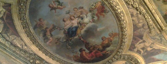 Reggia di Versailles is one of Chateaux de France.