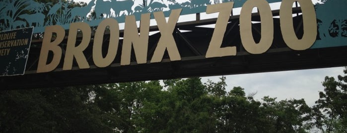 Bronx Zoo is one of NYC to do.