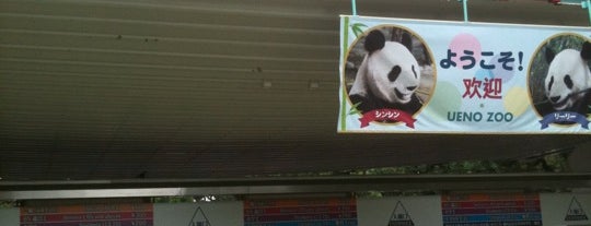 Ueno Zoo is one of Parks.