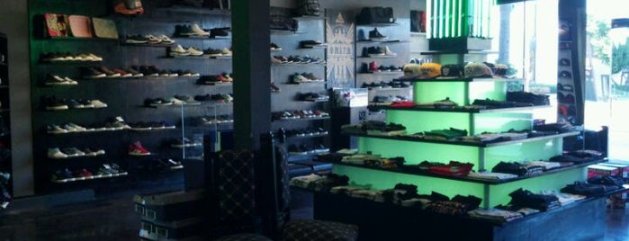 Primitive is one of The 15 Best Board Stores in Los Angeles.