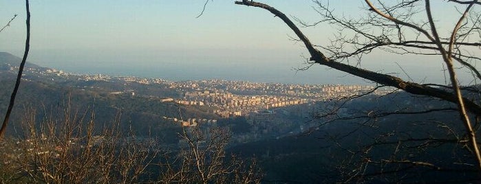 Ostaia de Baracche is one of Genova #4sqCities.