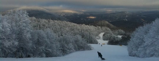Station Mont Tremblant Resort is one of The Best Skiing in the World.