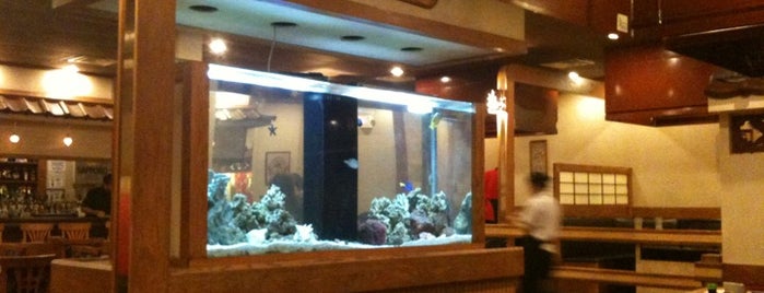 Jo-To Japanese Steakhouse is one of Favorites.