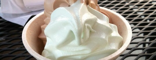 Golden Spoon Frozen Yogurt is one of Ice Cream! Only!.