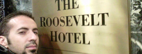 The Roosevelt Hotel is one of #nyc12.