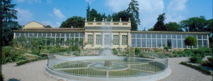 Orto Botanico is one of Lugares guardados de Lucia.
