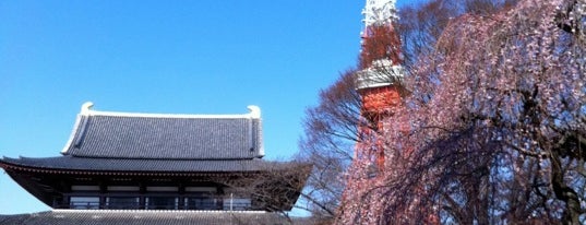 Zojoji Temple is one of 東京タワーの撮影スポット.