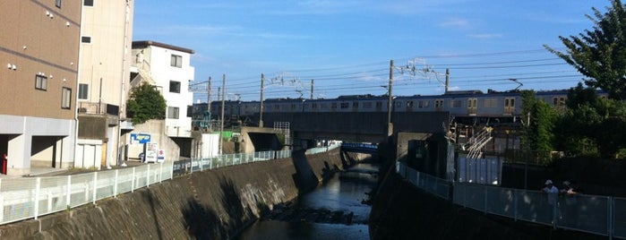 中田橋 is one of 帷子川に架かる橋と周辺の公園・史跡.