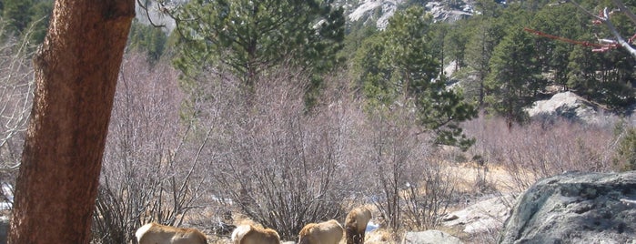 Rocky Mountain National Park is one of Destination of the Day.