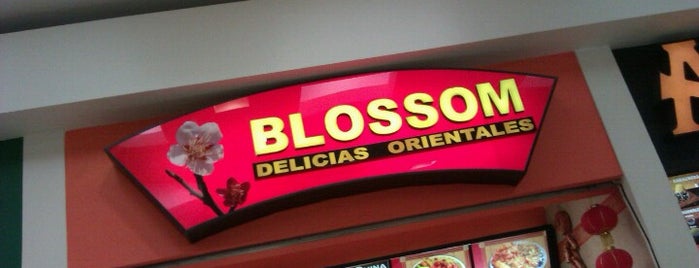 Blossom Fast Food is one of Centro Comercial Altaria.