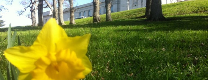 Auckland Domain is one of Auckland.